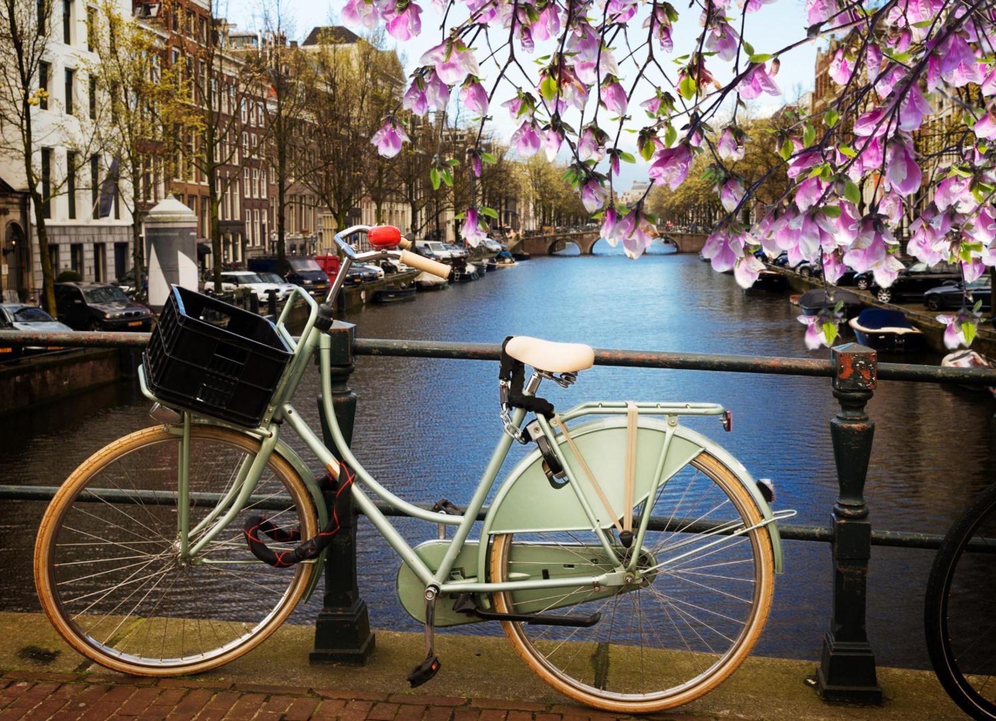House With 2 Private Independent Studio'S 120 M2 Central Amsterdam Ngoại thất bức ảnh
